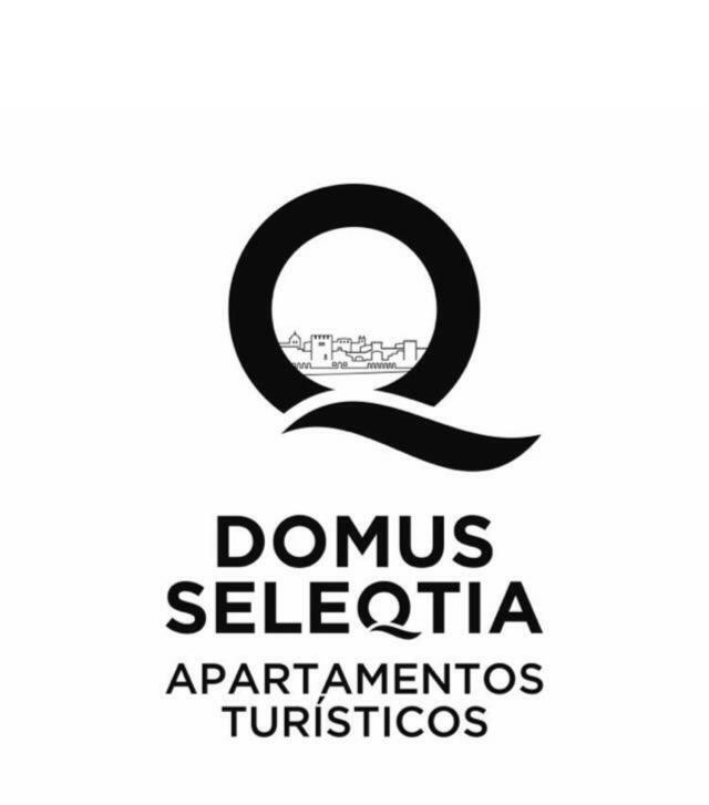 Domus Seleqtia Plaza De Santiago Apartment Caceres Bagian luar foto